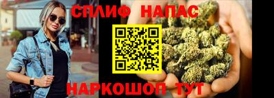крисы Сланцы
