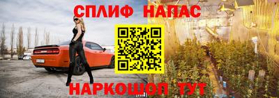 PSILOCYBIN Славянск-на-Кубани