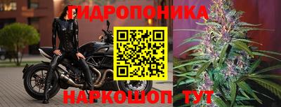 PSILOCYBIN Славянск-на-Кубани