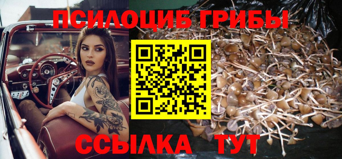 Псилоцибиновые грибы ЛСД Острогожск