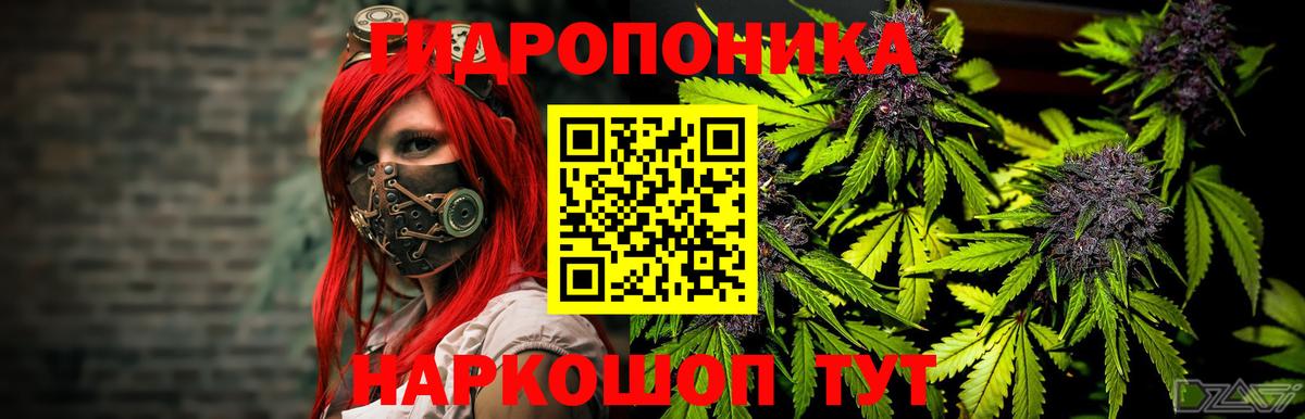 МАРИХУАНА Bruce Banner  Вход с VPN  Конопля тримм  Острогожск 